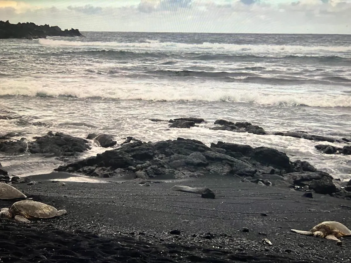 Ocean View Mauna Loa Shores Kai Ekahi #201 Next To Carlsmith Beach Park Hilo Hi Estados Unidos