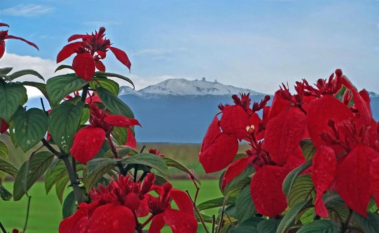 Aparthotel Ocean View Mauna Loa Shores Kai Ekahi #201 Next To Carlsmith Beach Park Hilo Hi United States
