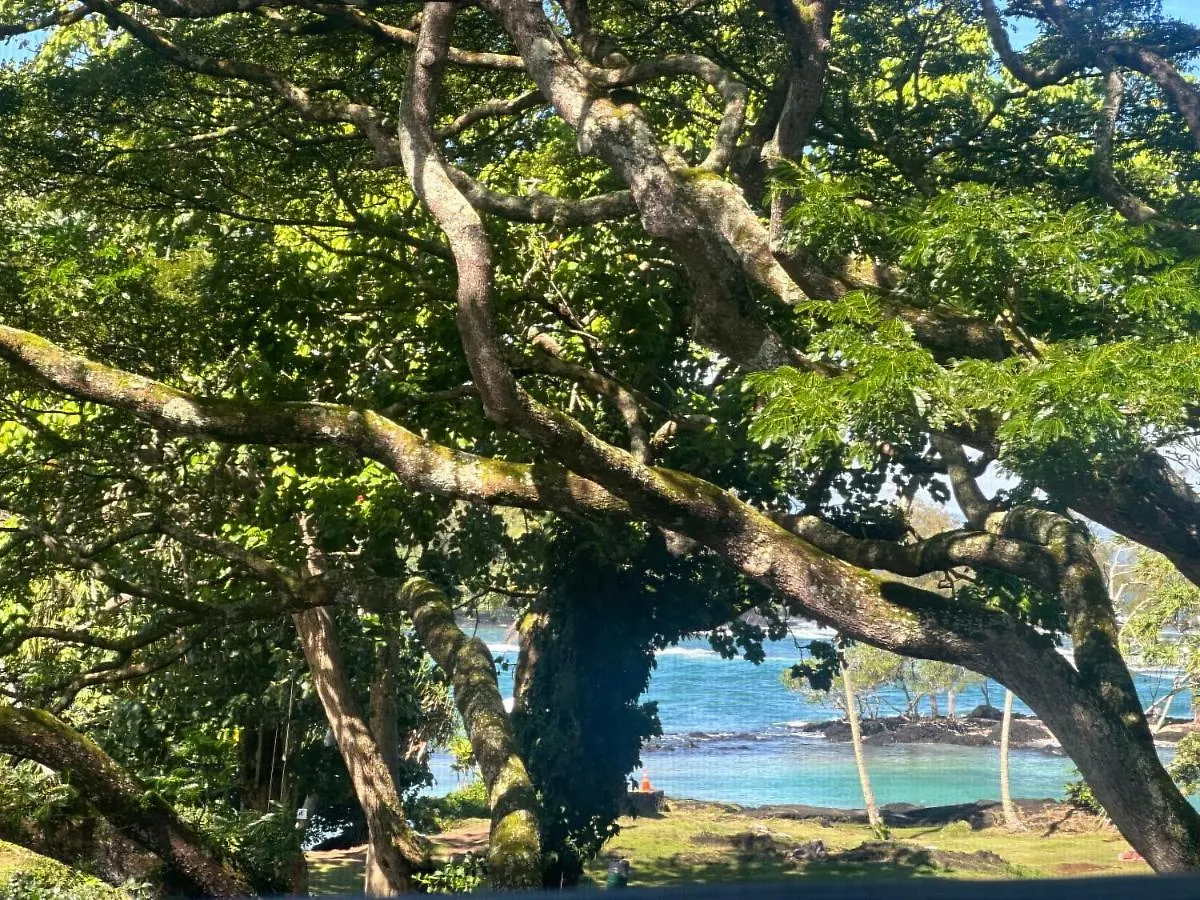 Ocean View Mauna Loa Shores Kai Ekahi #201 Next To Carlsmith Beach Park Hilo Hi Aparthotel
