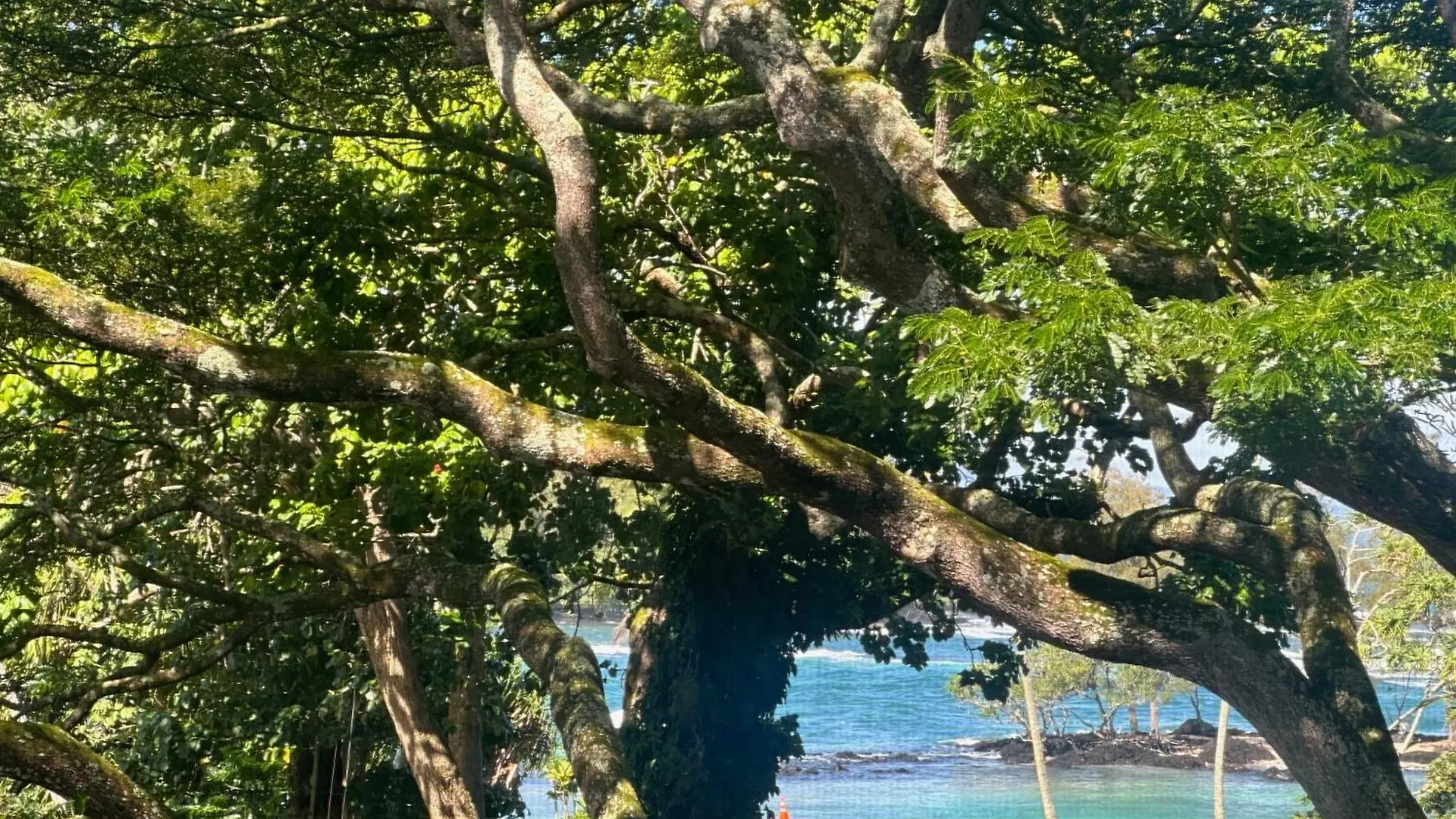 Ocean View Mauna Loa Shores Kai Ekahi #201 Next To Carlsmith Beach Park Hilo Hi 0*,